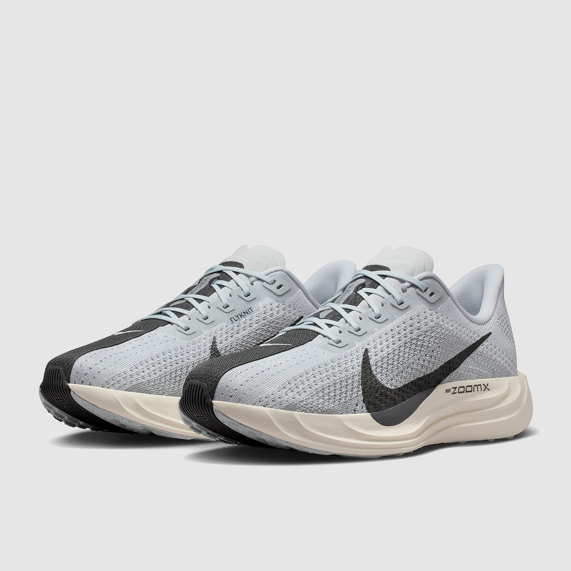 Nike Pegasus Plus