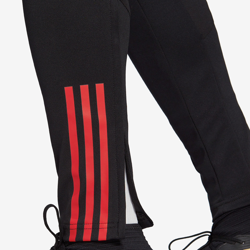 adidas Belgium 2022 Training Pant